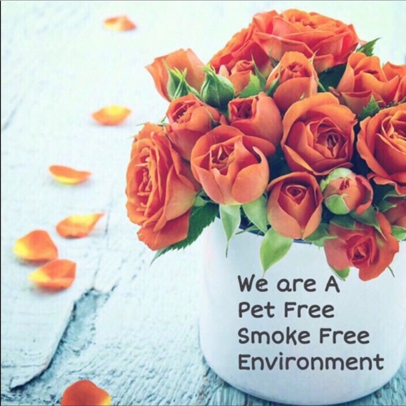 Cappelli Straworld Brown Lg Fishnet ButtonHobo Bag - Picture 7 of 9